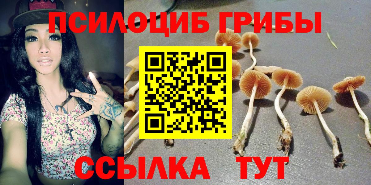 Псилоцибиновые грибы прущие грибы Раменское